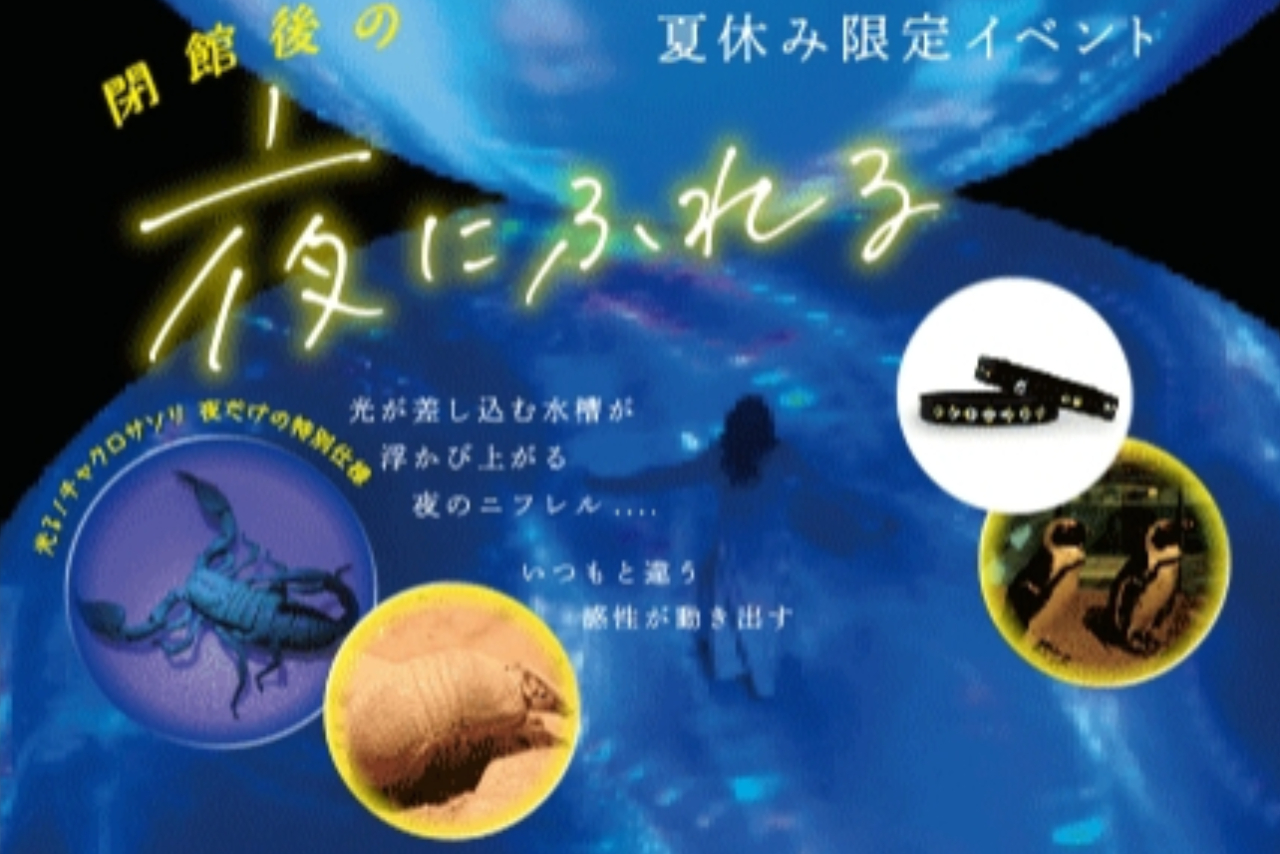 閉館後の夜にふれる 閉館後の夜にふれる