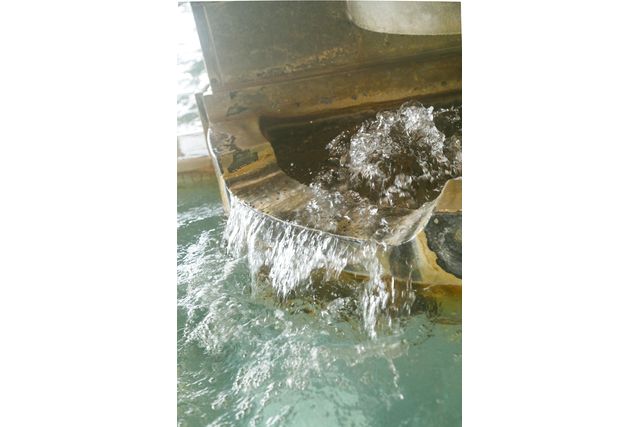 うれしの源泉 百年の湯