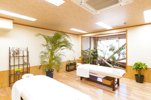 うれしの源泉 百年の湯