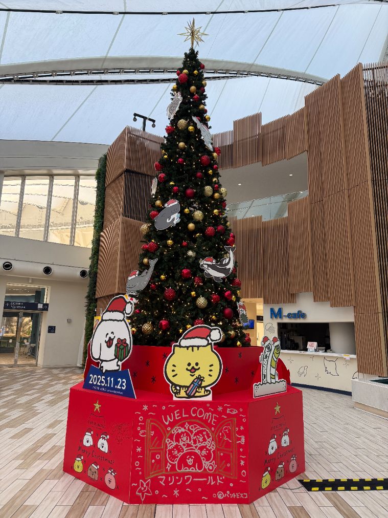 超特割!【6%割引】福岡・マリンワールド海の中道 WEB入場チケット(大人2名ペア券) 超特割!【6%割引】福岡・マリンワールド海の中道 WEB入場チケット(大人2名ペア券)