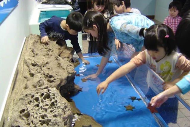 越前松島水族館 3枚目