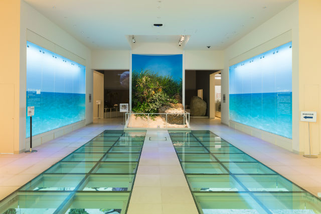 沖縄県立博物館・美術館 1枚目