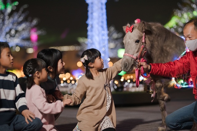 TOKYO MEGA ILLUMINATION 写真6