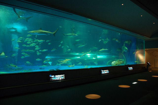 島根県立しまね海洋館アクアス 7枚目