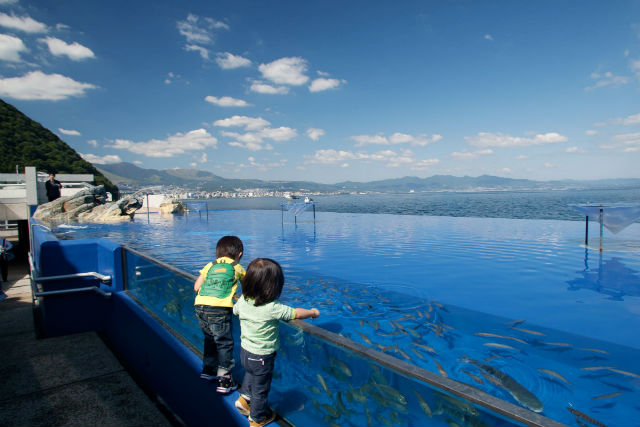 大分マリーンパレス水族館 「うみたまご」 写真8