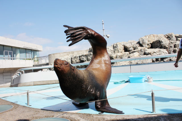 大分マリーンパレス水族館 うみたまご 2枚目