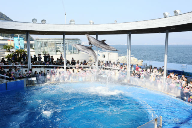 大分マリーンパレス水族館 うみたまご 3枚目