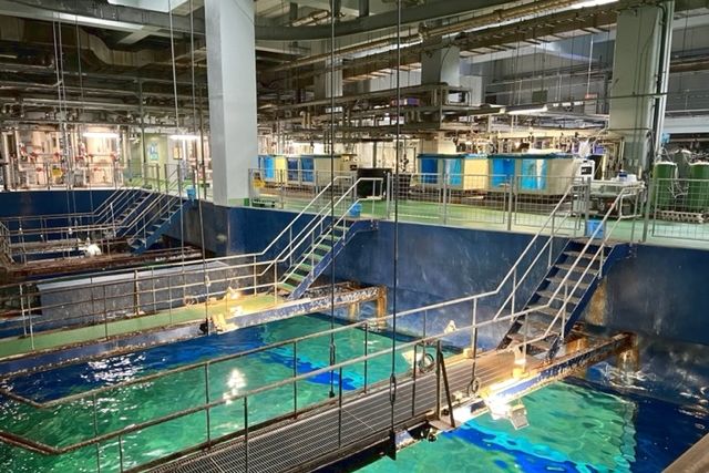 アクアワールド茨城県大洗水族館 1枚目