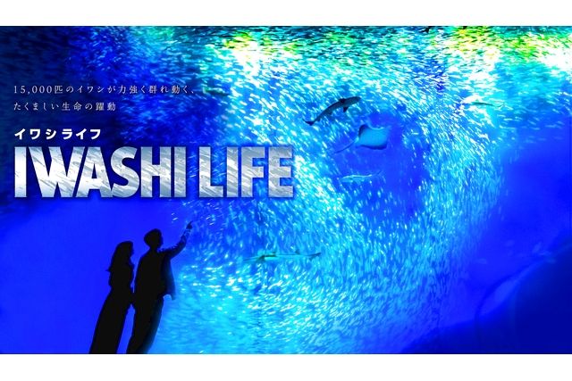 アクアワールド茨城県大洗水族館 2枚目