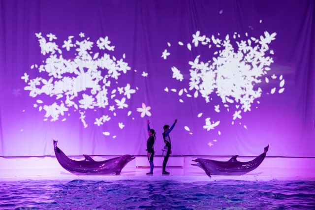 アクアワールド茨城県大洗水族館 3枚目