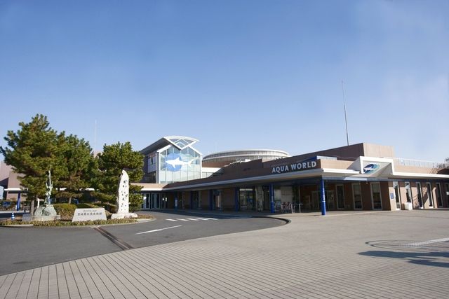 【アクアワールド学割】日付指定WEBチケット ※学生限定 【アクアワールド学割】日付指定WEBチケット ※学生限定