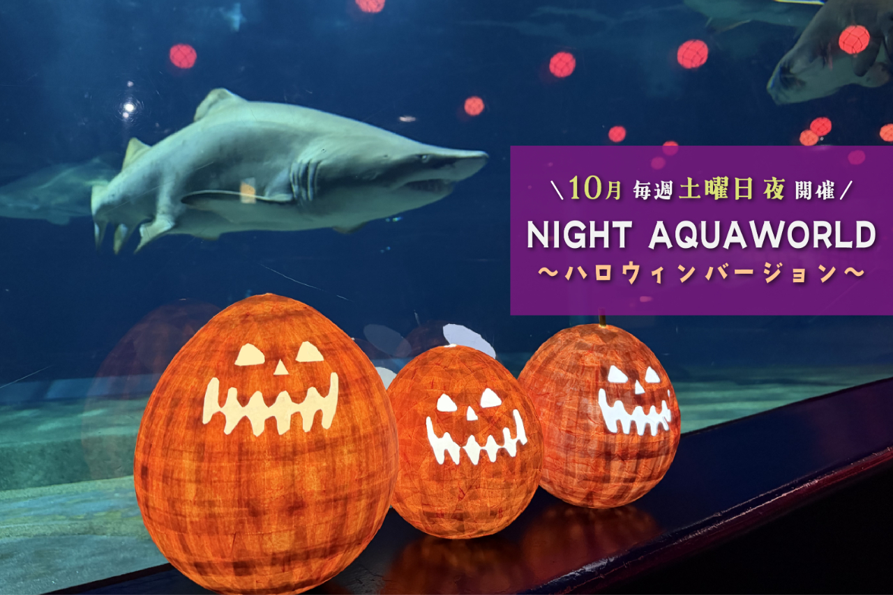10月限定NIGHT AQUAWORLD~ハロウィンバージョン~ 10月限定NIGHT AQUAWORLD~ハロウィンバージョン~