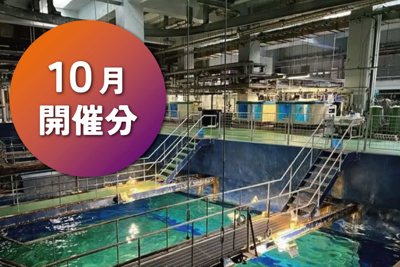 【ナイトバックヤードツアー付き】10月限定NIGHT AQUAWORLD~ハロウィンバージョン~ ※小学生未満参加不可 【ナイトバックヤードツアー付き】10月限定NIGHT AQUAWORLD~ハロウィンバージョン~ ※小学生未満参加不可