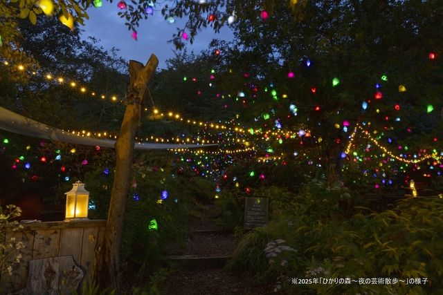 【土日祝限定】ひかりの森~夜の芸術散歩~夜パス【前売】 【土日祝限定】ひかりの森~夜の芸術散歩~夜パス【前売】