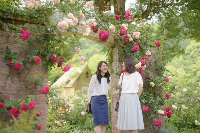 アカオハーブ＆ローズガーデン 写真6