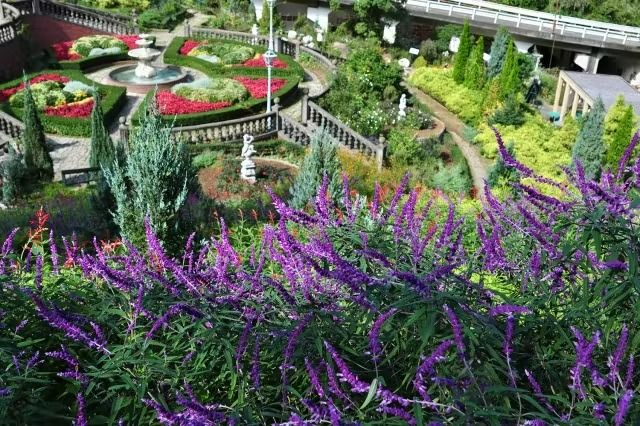 アカオハーブ&ローズガーデン 4枚目