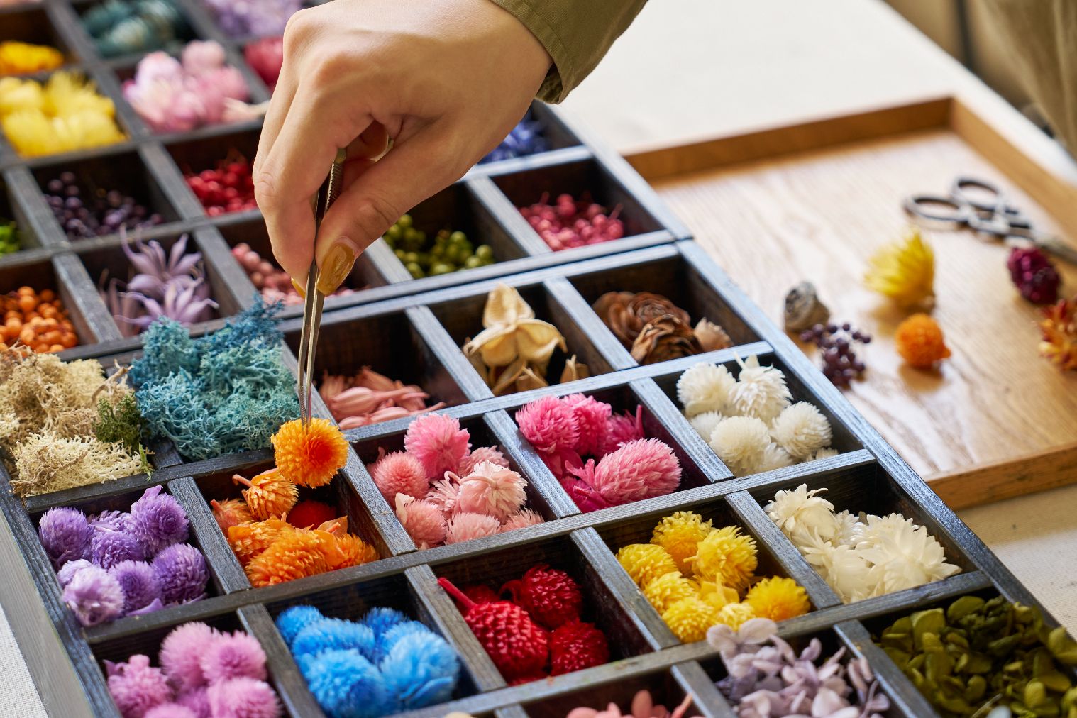 【入園料20%OFF】冬の贈りもの しあわせを呼ぶブッダナッツ作り体験+前売り入園チケット 【入園料20%OFF】冬の贈りもの しあわせを呼ぶブッダナッツ作り体験+前売り入園チケット