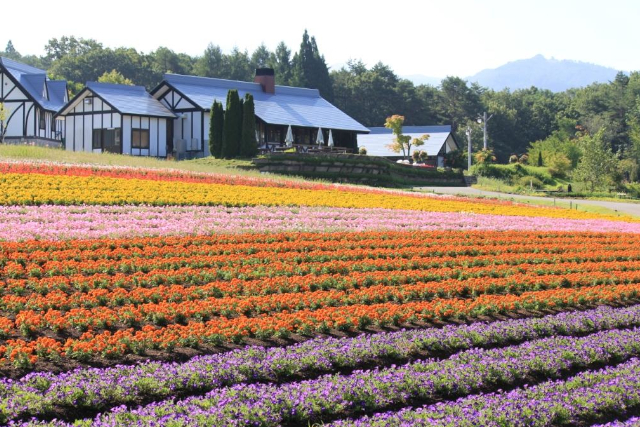 ひるがの高原 牧歌の里の画像24
