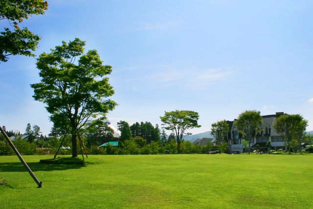 ひるがの高原 牧歌の里の画像19