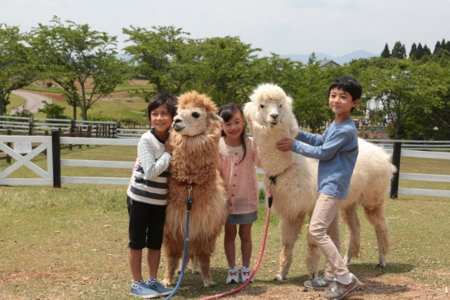 牧歌の里 写真4