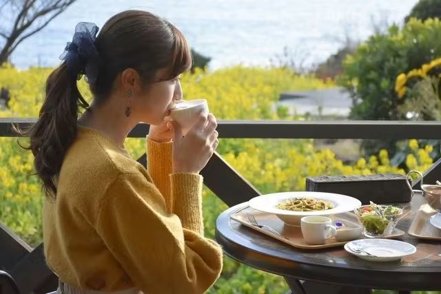 【学生限定!いまだけ50%OFF!】 ニューヨークランプミュージアム&フラワーガーデン WEBチケット 【学生限定!いまだけ50%OFF!】 ニューヨークランプミュージアム&フラワーガーデン WEBチケット