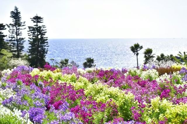 【学生限定!いまだけ50%OFF!】 ニューヨークランプミュージアム&フラワーガーデン WEBチケット 【学生限定!いまだけ50%OFF!】 ニューヨークランプミュージアム&フラワーガーデン WEBチケット