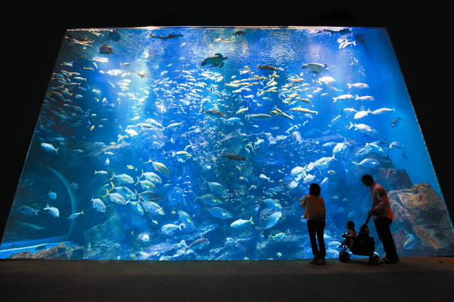 男鹿水族館GAO 入館券 男鹿水族館GAO 入館券