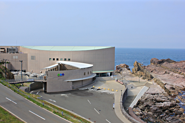 男鹿水族館GAO 入館券 男鹿水族館GAO 入館券