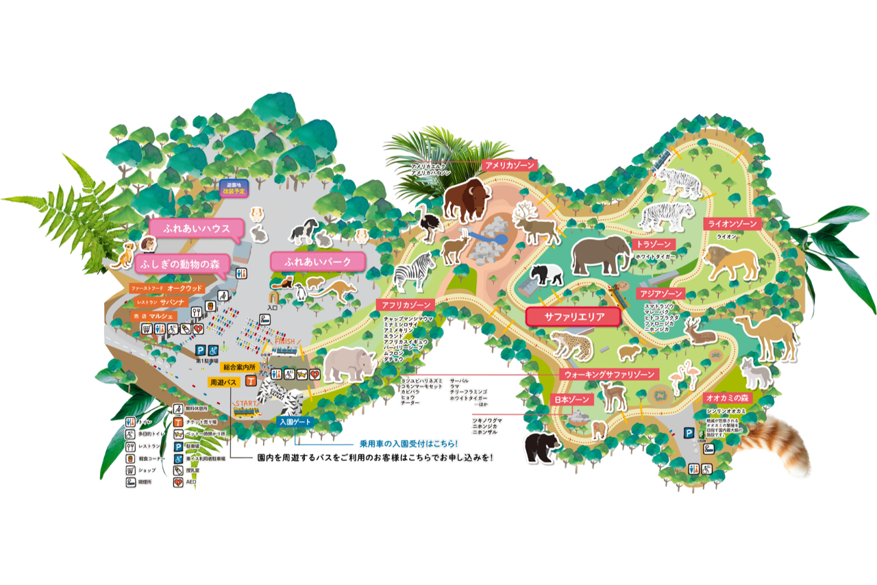 【夏休み限定イベント開催】群馬サファリパーク 入園チケット 【夏休み限定イベント開催】群馬サファリパーク 入園チケット
