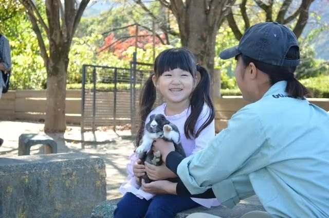 群馬サファリパーク 入園クーポン 群馬サファリパーク 入園クーポン