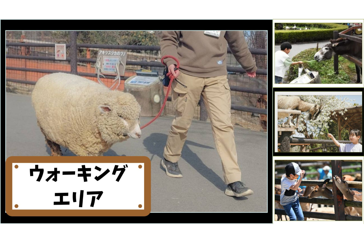 【運行日限定】日中入園料+夕暮れサファリ セットチケット 【運行日限定】日中入園料+夕暮れサファリ セットチケット