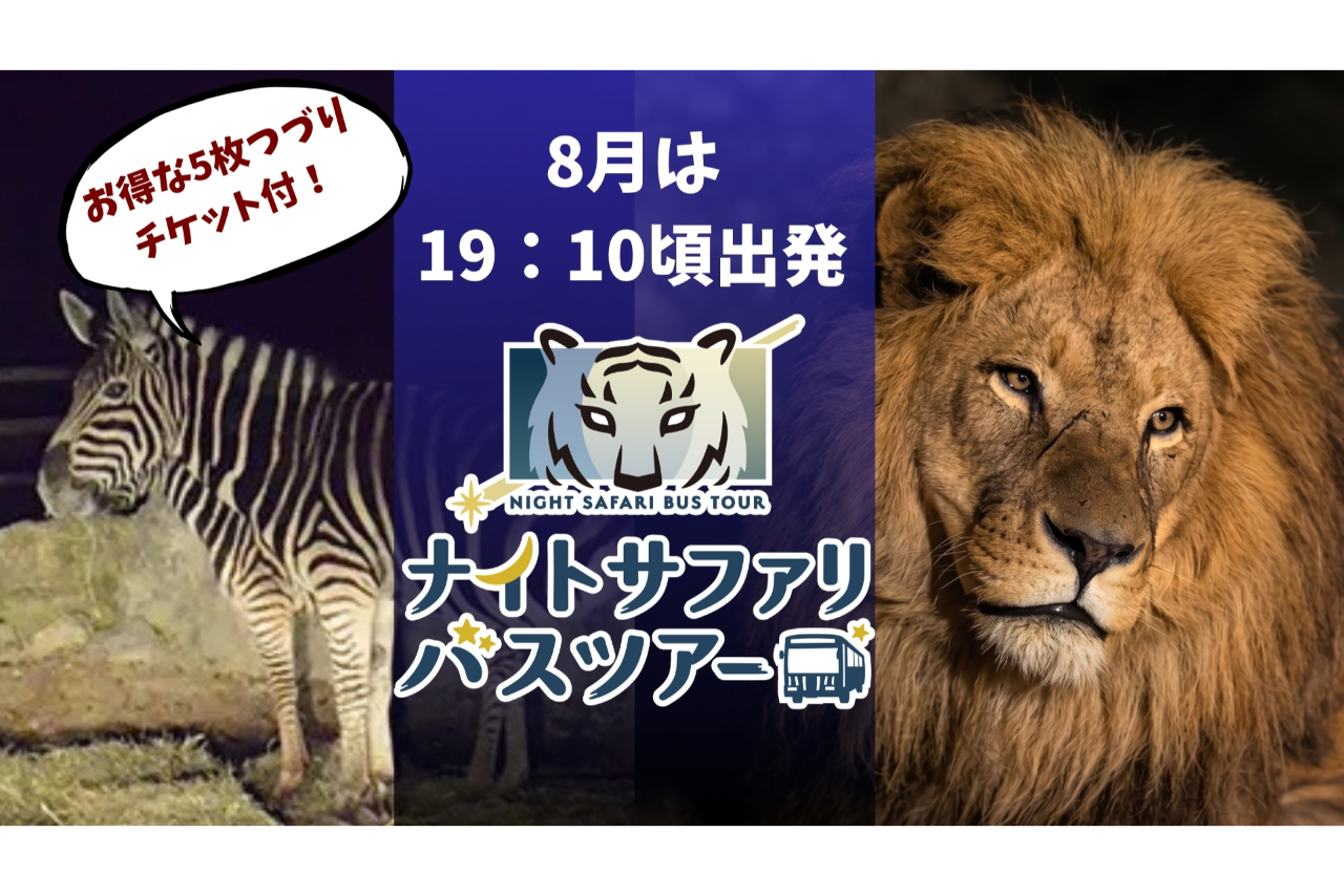 【夏休み限定イベント開催】【運行日限定】群馬サファリパーク ナイトサファリバスツアー 【夏休み限定イベント開催】【運行日限定】群馬サファリパーク ナイトサファリバスツアー