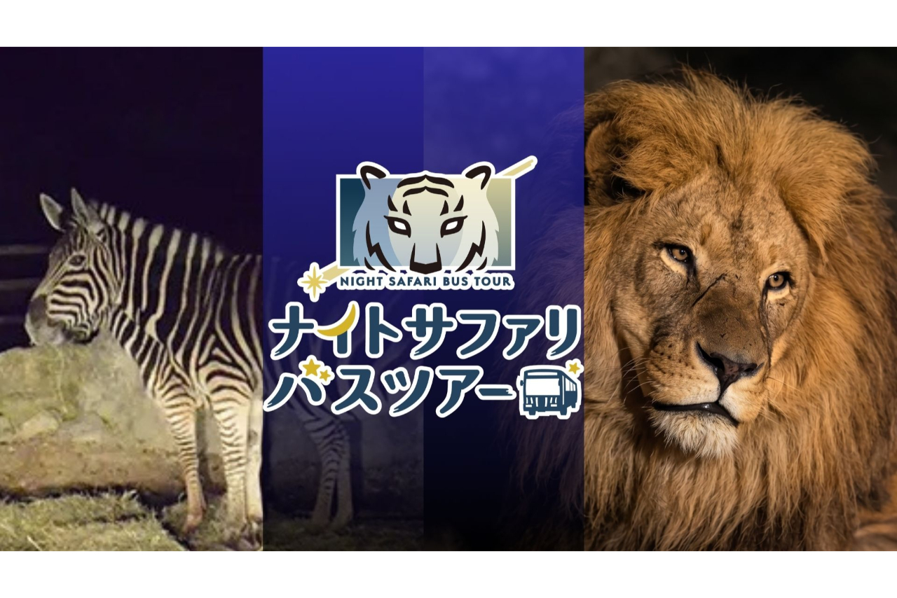 【運行日限定】群馬サファリパーク 日中入園料+ナイトサファリ セットチケット 【運行日限定】群馬サファリパーク 日中入園料+ナイトサファリ セットチケット