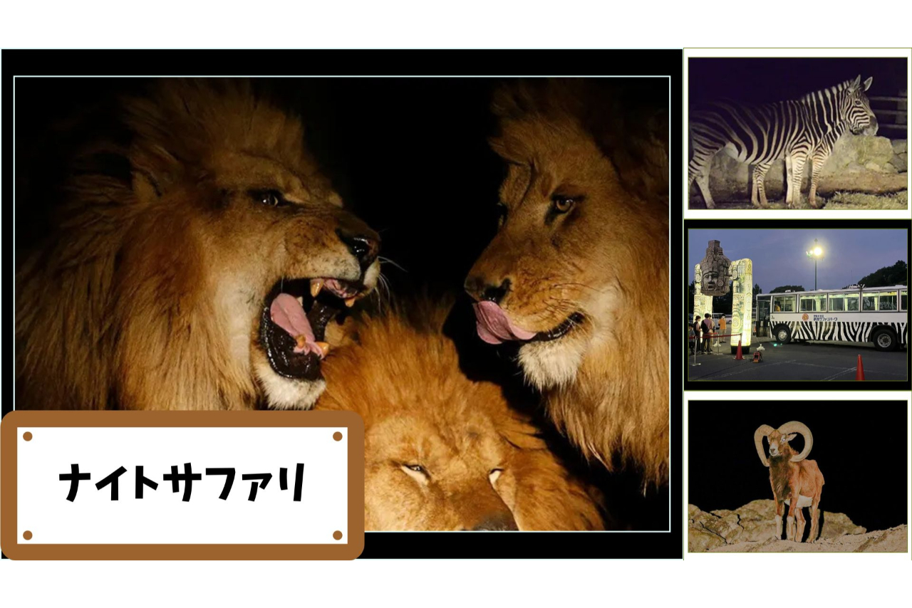 【運行日限定】群馬サファリパーク 日中入園料+ナイトサファリ セットチケット 【運行日限定】群馬サファリパーク 日中入園料+ナイトサファリ セットチケット