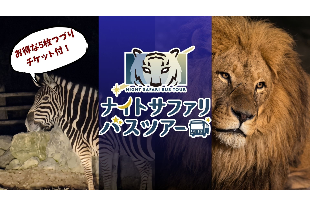【夏休み限定イベント開催】【運行日限定】群馬サファリパーク 日中入園料+ナイトサファリ セットチケット 【夏休み限定イベント開催】【運行日限定】群馬サファリパーク 日中入園料+ナイトサファリ セットチケット
