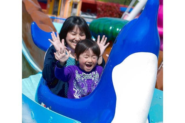 日本モンキーパーク 写真7