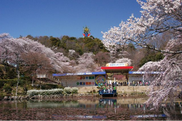 【あいちウィーク・11/21~11/27限定】日本モンキーパーク入園券 【あいちウィーク・11/21~11/27限定】日本モンキーパーク入園券