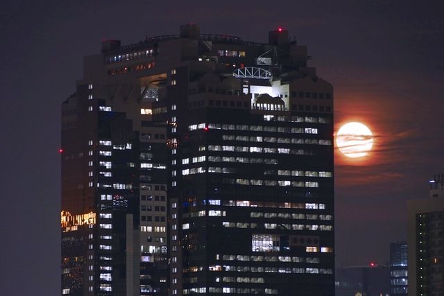 【1/24(土)開催】空中庭園☆宙に近い天文部 参加プラン(展望台入場券付) 【1/24(土)開催】空中庭園☆宙に近い天文部 参加プラン(展望台入場券付)