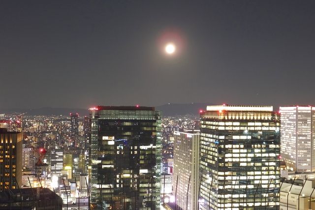 【1/24(土)開催】空中庭園☆宙に近い天文部 参加プラン(展望台入場券付) 【1/24(土)開催】空中庭園☆宙に近い天文部 参加プラン(展望台入場券付)