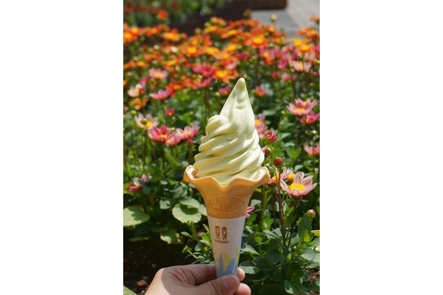 鳥取県立とっとり花回廊 4枚目