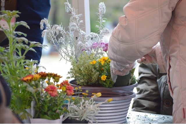 鳥取県立とっとり花回廊 5枚目