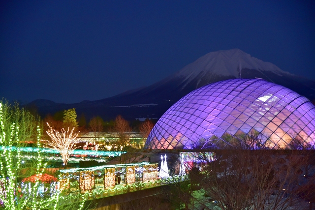 鳥取県立とっとり花回廊 3枚目