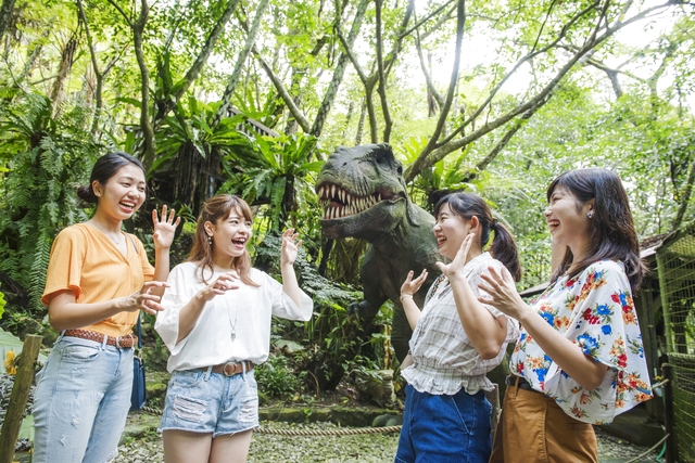 御菓子御殿　名護店　やんばる亜熱帯の森DINO恐竜PARK 写真5