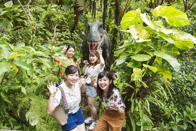 御菓子御殿　名護店　やんばる亜熱帯の森DINO恐竜PARK 写真4