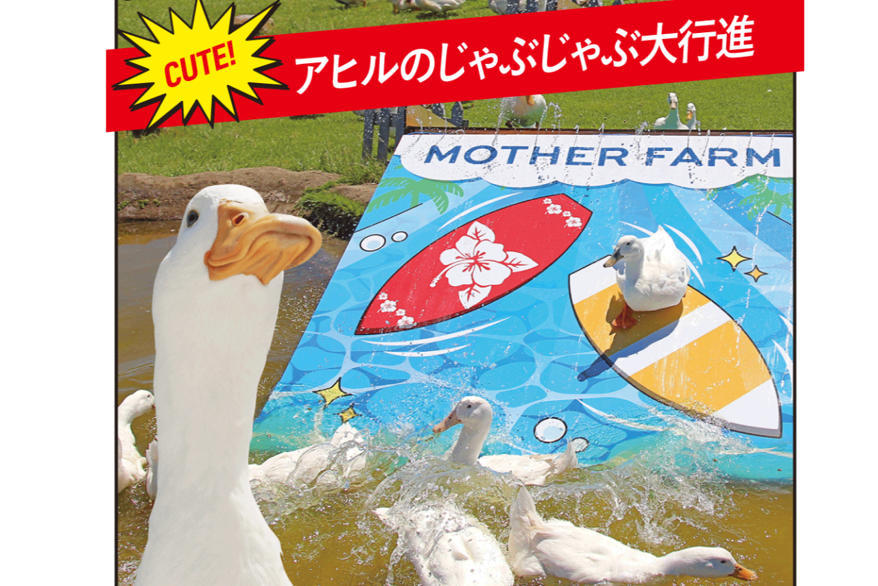マザー牧場 入場チケット マザー牧場 入場チケット