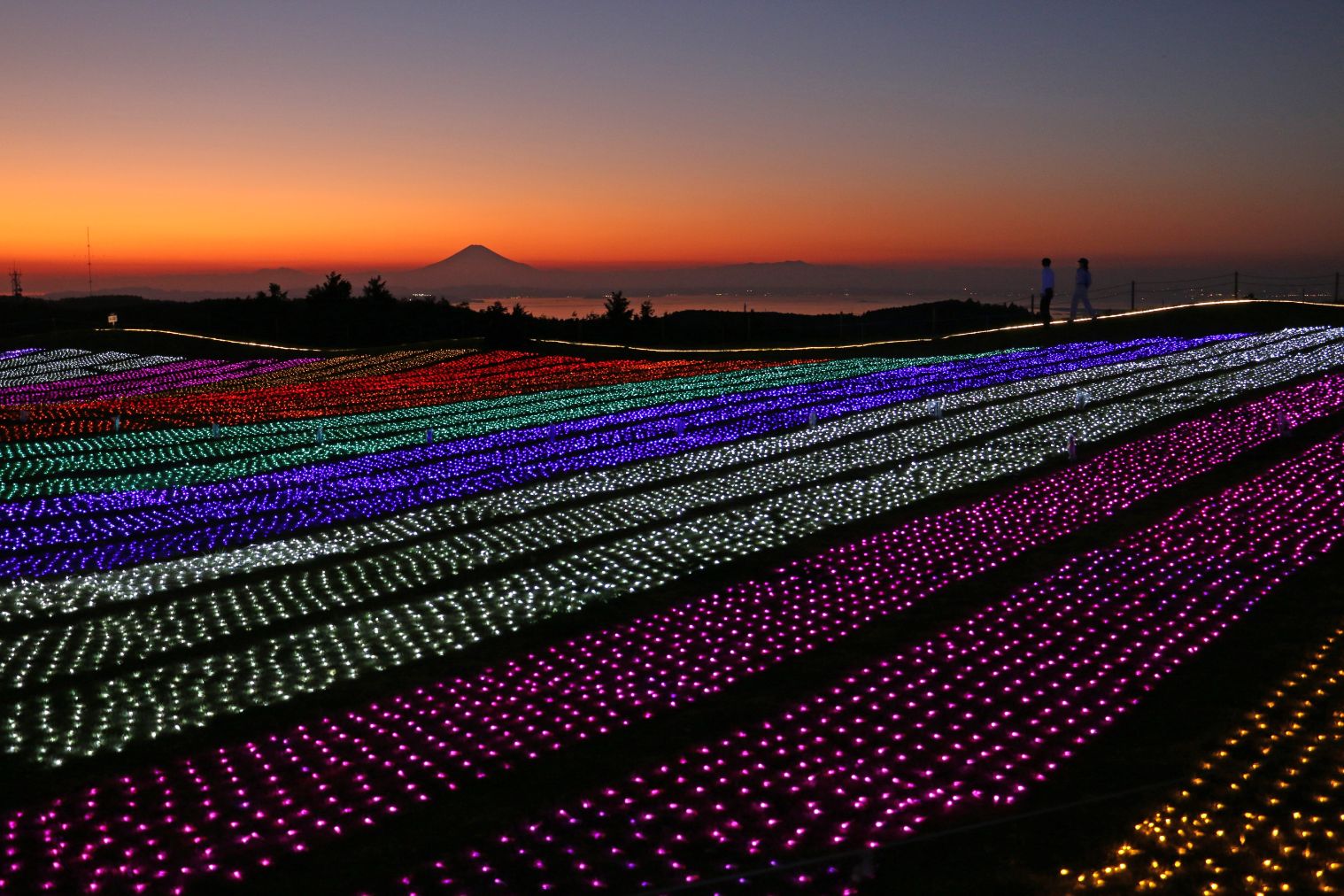 【夜間・開催日限定】マザーイルミ2025 入場&食事券 【夜間・開催日限定】マザーイルミ2025 入場&食事券