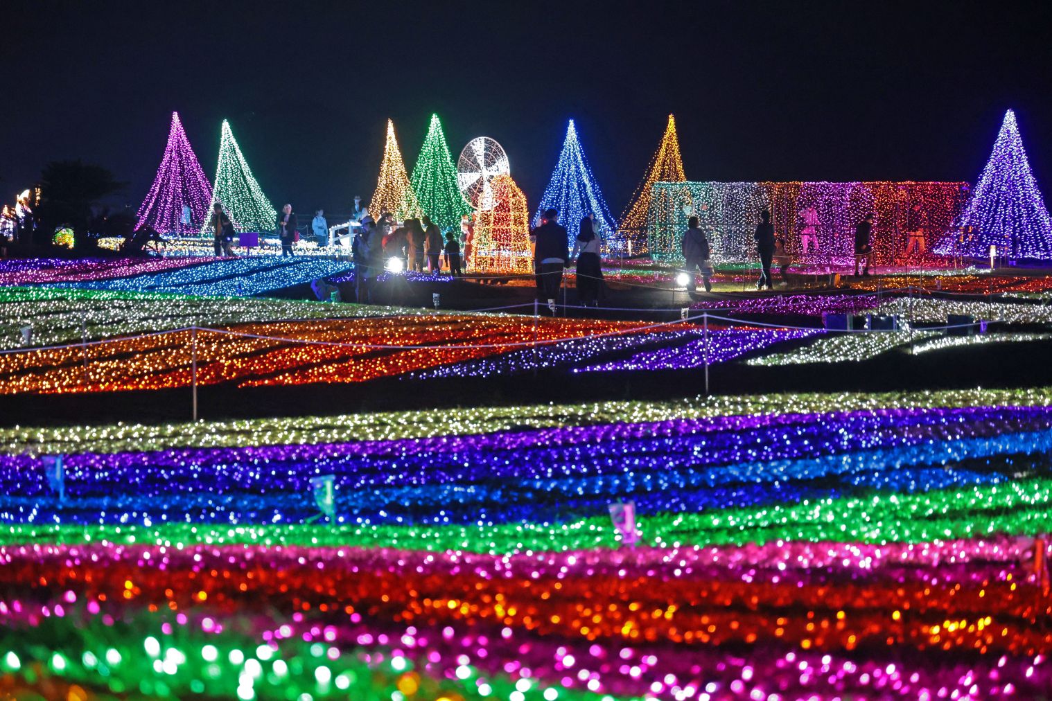 【夜間・開催日限定】マザーイルミ2025 入場&食事券 【夜間・開催日限定】マザーイルミ2025 入場&食事券