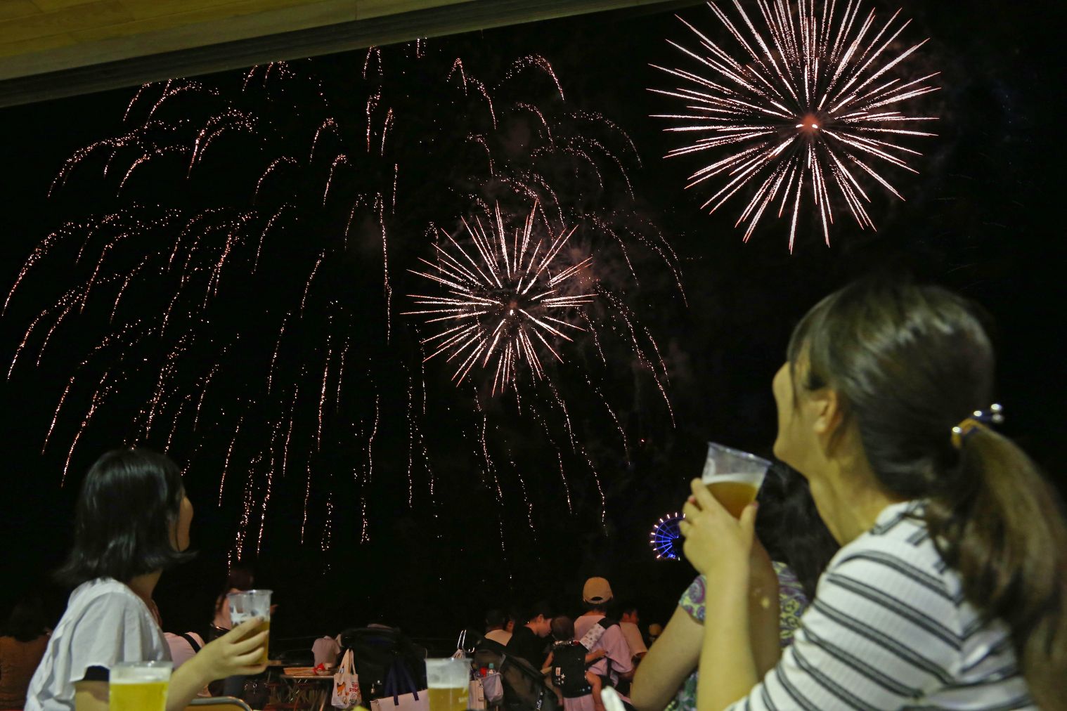 マザー牧場サマーナイトファーム2026 夜間花火鑑賞席前売食事券 マザー牧場サマーナイトファーム2026 夜間花火鑑賞席前売食事券