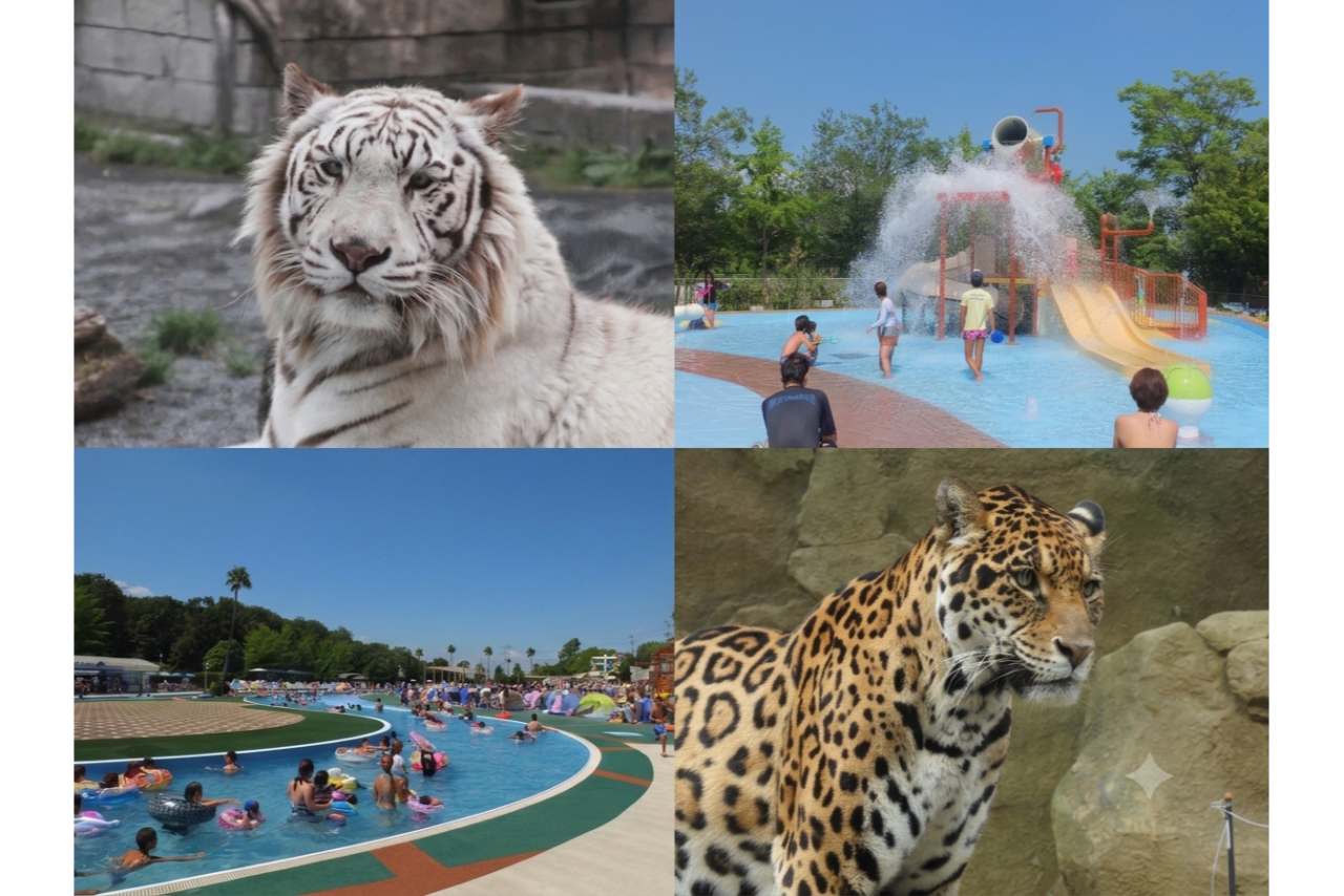 【GOGO割】入園券+プール入場券 ※14時~利用可 【GOGO割】入園券+プール入場券 ※14時~利用可