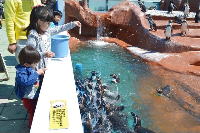 南知多ビーチランド＆南知多おもちゃ王国 写真4